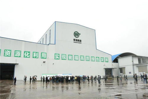 石膏新紀元 走進優質石膏工廠，見證機械化施工的力量